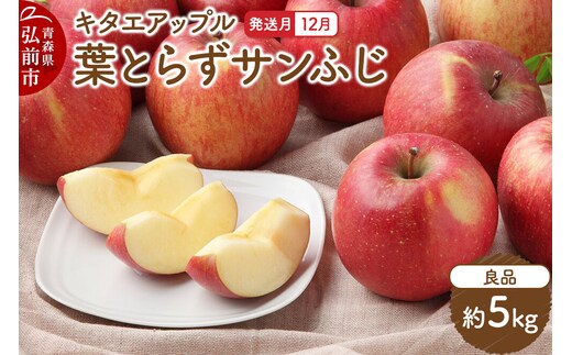 【26年12月発送】りんご 葉取らず サンふじ【良品】約5kg キタエアップル 青森県 弘前市 先行受付 [先行予約 サンふじ 葉取らず りんご 贈り物 アップル おいしい 果実 果物 赤色 美味 林檎]