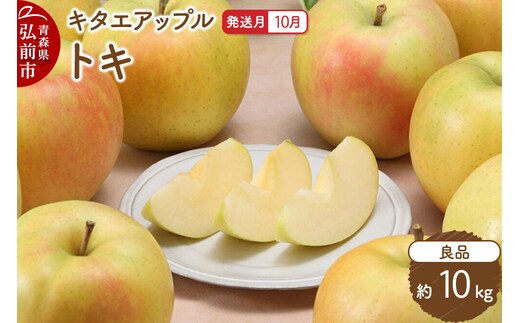 【26年10月発送】りんご トキ【良品】約10kg キタエアップル 青森県 弘前市 [トキ りんご 贈り物 アップル おいしい 果実 果物 黄色 美味 林檎]