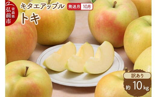 【26年10月発送】りんご トキ【訳あり】約10kg キタエアップル 青森県 弘前市 [トキ りんご 訳あり 家庭用 アップル おいしい 果実 果物 黄色 美味 林檎]