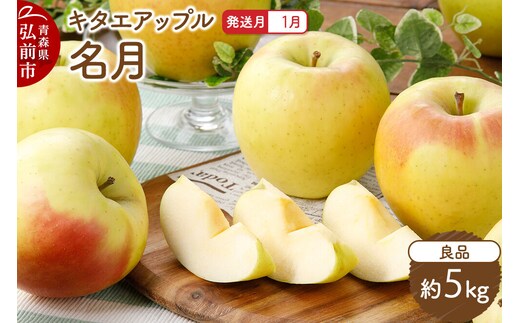 【27年1月発送】りんご 名月【良品】約5kg キタエアップル 青森県 弘前市 先行受付 [先行予約 名月 りんご 贈り物 アップル おいしい 果実 果物 黄色 美味 林檎]