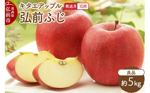 【26年10月発送】りんご 弘前ふじ【良品】約5kg キタエアップル 青森県 弘前市 [弘前ふじ りんご 贈り物 アップル おいしい 果実 果物 赤色 美味 林檎]