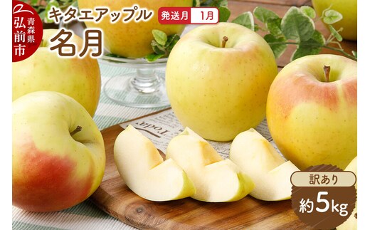 【27年1月発送】りんご 名月【訳あり】約5kg キタエアップル 青森県 弘前市 先行受付 [先行予約 名月 りんご 訳あり 家庭用 アップル おいしい 果実 果物 黄色 美味 林檎]