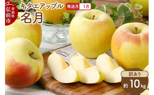 【27年1月発送】りんご 名月【訳あり】約10kg キタエアップル 青森県 弘前市 先行受付 [先行予約 名月 りんご 訳あり 家庭用 アップル おいしい 果実 果物 黄色 美味 林檎]