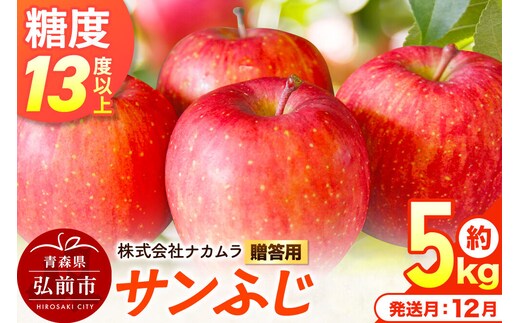 【26年12月発送】りんご サンふじ【贈答用】約5kg（16～20玉程度）糖度13度以上 先行受付 青森県産 林檎 リンゴ 果物 くだもの フルーツ 青森県 弘前市 [先行予約 産地直送 ギフト 贈り物 アップル おいしい ふじ 果実 美味 甘い]