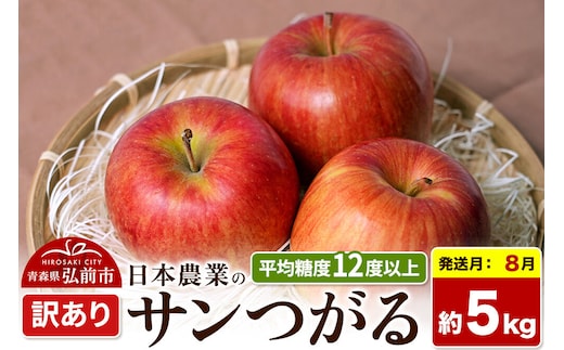 【26年8月クール便発送】りんご サンつがる【訳あり】約5kg 平均糖度12度以上 青森県産 果物 フルーツ 林檎 リンゴ くだもの 不揃い 規格外 [家庭用 産地直送 アップル 青森県 弘前市]