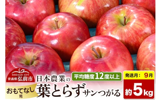 【26年9月クール便発送】りんご 葉とらずサンつがる【おもてなし用】約5kg 平均糖度12度以上 青森県産 果物 フルーツ 林檎 リンゴ くだもの [産地直送 アップル 青森県 弘前市]