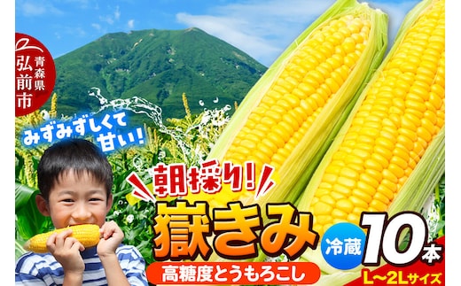 【26年7月～発送】とうもろこし 朝採り 嶽きみ（だけきみ） 10本 L～2Lサイズ 冷蔵 青森県 弘前市 [とうもろこし 朝採り 嶽きみ だけきみ 冷蔵 高糖度]