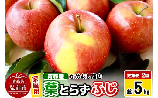 【26年12月～発送】《定期便2回》りんご 葉とらず ふじ【家庭用】約5kg ゴールド農園 先行受付 家庭用 青森県 弘前市 果物 フルーツ 林檎 リンゴ くだもの 不揃い 規格外 [先行予約 産地直送 アップル おいしい 果実 美味 甘い 赤色]