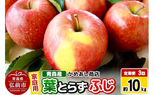 【26年12月～発送】《定期便3回》りんご 葉とらず ふじ【家庭用】約10kg ゴールド農園 先行受付 家庭用 青森県 弘前市 果物 フルーツ 林檎 リンゴ くだもの 不揃い 規格外 [先行予約 産地直送 アップル おいしい 果実 美味 甘い 赤色]