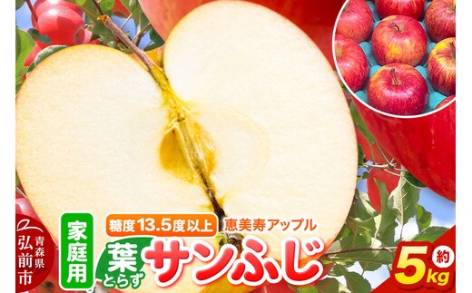 【26年12月発送】りんご 葉とらず サンふじ【家庭用】約5kg 糖度13.5度以上 先行受付 青森県 弘前市 果物 フルーツ 林檎 リンゴ くだもの 不揃い 規格外 [先行予約 産地直送 アップル おいしい 果実 美味 甘い 赤色]