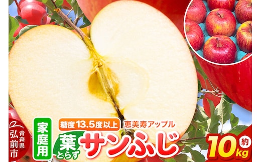 【26年12月発送】りんご 葉とらず サンふじ【家庭用】約10kg 糖度13.5度以上 先行受付 青森県 弘前市 果物 フルーツ 林檎 リンゴ くだもの 不揃い 規格外 [先行予約 産地直送 アップル おいしい 果実 美味 甘い 赤色]