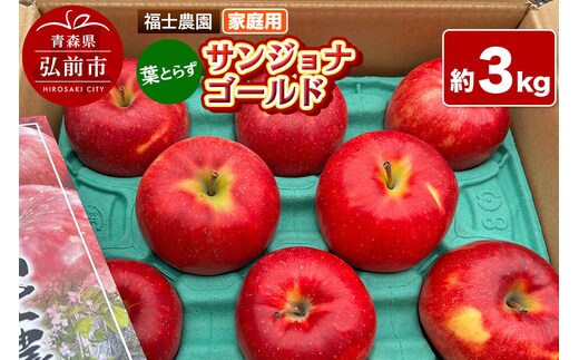 【26年10月～発送】りんご 葉とらず サンジョナゴールド【家庭用】約3kg 青森県 弘前市 [青森県産 産地直送 アップル おいしい 果実 果物 黄色 美味]