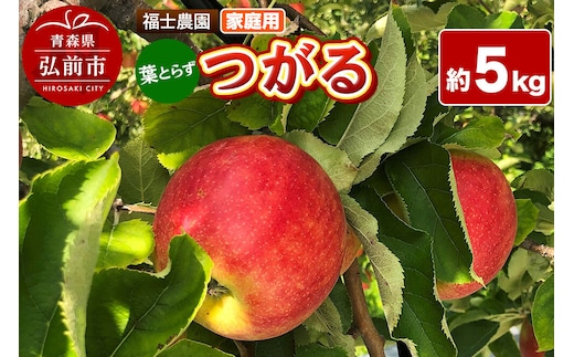【26年9月発送】りんご 葉とらず つがる【家庭用】約5kg 青森県 弘前市 [青森県産 産地直送 アップル おいしい 果実 果物 赤色 美味]