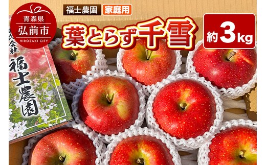 【26年11月発送】りんご 葉取らず 千雪【家庭用】約3kg 青森県 弘前市 [青森県産 産地直送 アップル おいしい 果実 果物 赤色 美味]