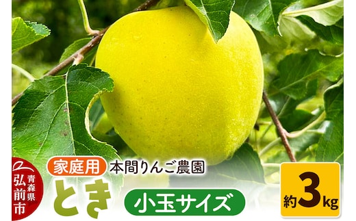 【26年10月発送】りんご とき【家庭用】約3kg 小玉 先行受付 青森県 弘前市 果物 フルーツ 林檎 リンゴ くだもの 不揃い 規格外 [先行予約 産地直送 アップル おいしい 果実 美味 甘い 黄色]