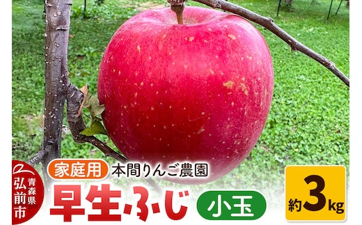 【26年10月発送】りんご 早生ふじ（ひろさきふじ）【家庭用】約3kg 小玉 先行受付 青森県 弘前市 果物 フルーツ 林檎 リンゴ くだもの 不揃い 規格外 [先行予約 産地直送 アップル おいしい 果実 美味 甘い 赤色]