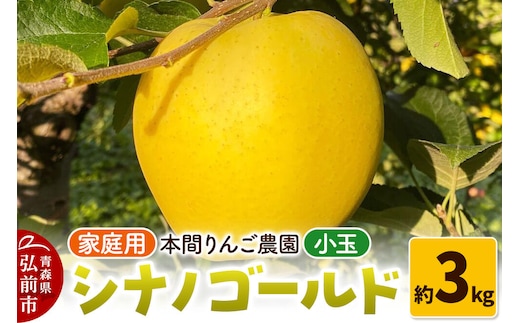 【26年10月下旬～発送】りんご シナノゴールド【家庭用】約3kg 小玉 先行受付 青森県 弘前市 果物 フルーツ 林檎 リンゴ くだもの 不揃い 規格外 [先行予約 産地直送 アップル おいしい 果実 美味 甘い 黄色]