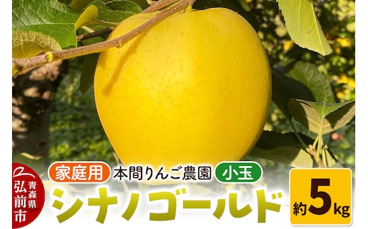 【26年10月下旬～発送】りんご シナノゴールド【家庭用】約5kg 小玉 先行受付 青森県 弘前市 果物 フルーツ 林檎 リンゴ くだもの 不揃い 規格外 [先行予約 産地直送 アップル おいしい 果実 美味 甘い 黄色]