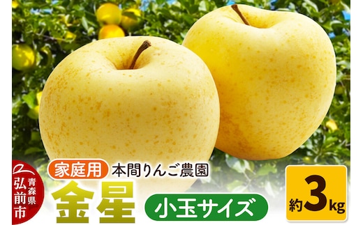 【26年12月発送】金星【家庭用】約3kg 小玉 先行受付 青森県 弘前市 果物 フルーツ 林檎 リンゴ くだもの 不揃い 規格外 [先行予約 産地直送 アップル おいしい 果実 美味 甘い 黄色]