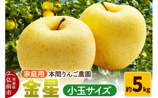 【26年12月発送】金星【家庭用】約5kg 小玉 先行受付 青森県 弘前市 果物 フルーツ 林檎 リンゴ くだもの 不揃い 規格外 [先行予約 産地直送 アップル おいしい 果実 美味 甘い 黄色]
