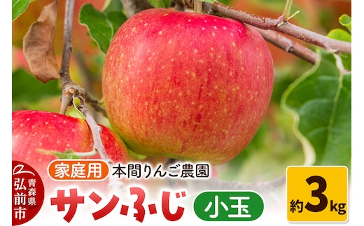 【26年12月発送】サンふじ【家庭用】約3kg 小玉 先行受付 青森県 弘前市 果物 フルーツ 林檎 リンゴ くだもの 不揃い 規格外 [先行予約 産地直送 アップル おいしい 果実 美味 甘い 赤色]
