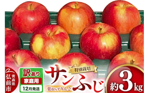 【26年12月発送】りんご 葉取らず サンふじ【訳あり】約3kg（8～12玉程度）青森県特別栽培農産物認証農園 先行受付 家庭用 青森県 弘前市 果物 フルーツ 林檎 リンゴ くだもの 不揃い 規格外 [先行予約 産地直送 アップル おいしい 果実 美味 甘い 赤色]