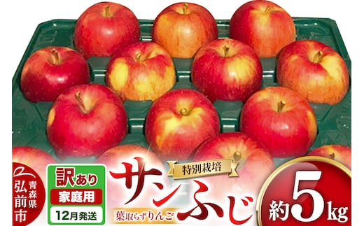 【26年12月発送】りんご 葉取らず サンふじ【訳あり】約5kg（14～20玉程度）青森県特別栽培農産物認証農園 先行受付 家庭用 青森県 弘前市 果物 フルーツ 林檎 リンゴ くだもの 不揃い 規格外 [先行予約 産地直送 アップル おいしい 果実 美味 甘い 赤色]
