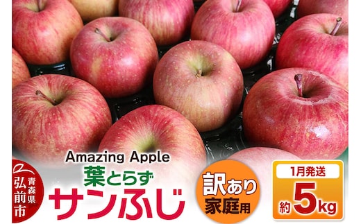 【27年1月発送】りんご 葉とらずサンふじ【訳あり】家庭用 約5kg [りんご サンふじ 葉とらず ふじ 訳あり 家庭用 5kg アップル おいしい 果実 果物 取ら 赤色 美味 葉っぱ 林檎 青森県 弘前市]