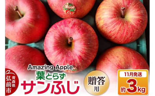 【26年11月下旬発送】りんご 葉とらずサンふじ【贈答用】約3kg [りんご サンふじ 葉とらず ふじ 3kg お歳暮 お中元 ギフト 贈り物 贈答用 アップル おいしい 果実 果物 赤色 美味 葉っぱ 林檎 青森県 弘前市]