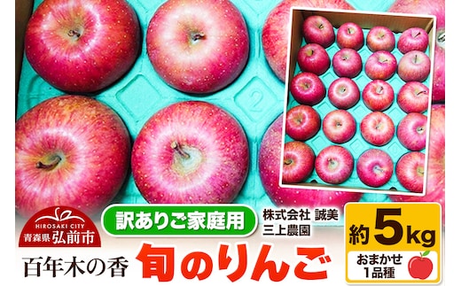 【25年12月～発送】りんご 【訳あり】家庭用 百年木の香 三上農園 旬のりんご 約5kg 品種おまかせ1品種【先行受付】 青森 果物 フルーツ 林檎 リンゴ くだもの 不揃い 規格外 予約