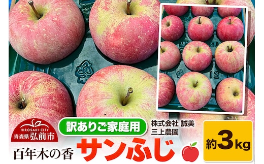 【25年12月～発送】りんご 【訳あり】家庭用 百年木の香 三上農園 サンふじ 約3kg【先行受付】 青森 果物 フルーツ 林檎 リンゴ くだもの 不揃い 規格外 予約