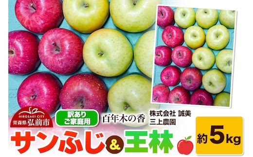 【25年12月～発送】りんご 【訳あり】家庭用 百年木の香 三上農園 サンふじ ＆ 王林 約5kg【先行受付】 青森 果物 フルーツ 林檎 リンゴ くだもの 不揃い 規格外 予約
