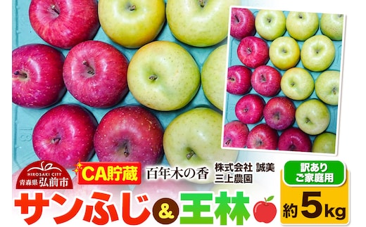 【26年4月発送】りんご 【CA貯蔵】【訳あり】家庭用 百年木の香 三上農園 サンふじ＆王林 約5kg (14～20玉程度)【先行受付】 青森 果物 フルーツ 林檎 リンゴ くだもの 不揃い 規格外 予約