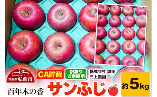 【26年4月発送】りんご 【CA貯蔵】【訳あり】家庭用 百年木の香 三上農園 サンふじ 約5kg (14～20玉程度)【先行受付】 青森 果物 フルーツ 林檎 リンゴ くだもの 不揃い 規格外 予約