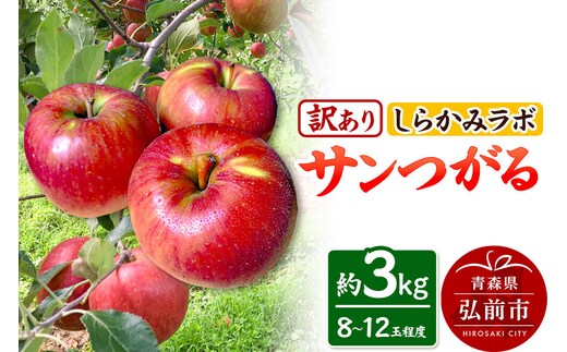 【26年9月クール便発送】りんご サンつがる【訳あり】約3kg しらかみラボ 先行受付 家庭用 青森県 弘前市 果物 フルーツ 林檎 リンゴ くだもの 不揃い 規格外 [先行予約 クール便 産地直送 アップル おいしい 果実 美味 甘い 赤色]