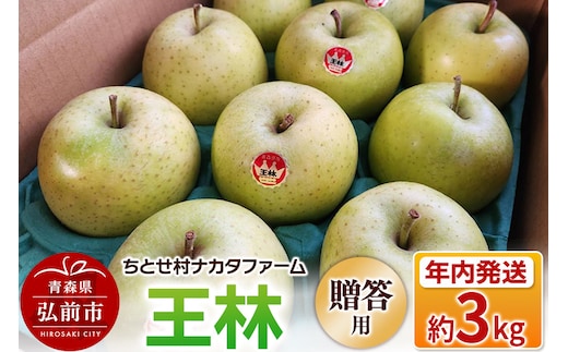 【25年11月～発送】りんご【贈答用】王林 約3kg ちとせ村