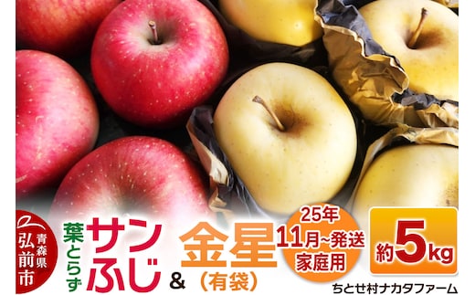 【25年11月～発送】りんご【家庭用】葉取らずサンふじと金星（有袋）約5kg