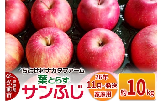 【25年11月～発送】りんご【家庭用】葉取らずサンふじ 約10kg