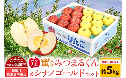 【26年11月～発送】りんご 蜜入り サンふじ（みつまるくん）＆シナノゴールド セット 約 5kg [アップル おいしい シナノ シナノゴールド セット セット品 ふじ りんご 黄色 果実 果物 赤色 美味 林檎]