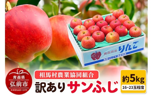 【27年2月発送】りんご【訳あり】サンふじ 約5kg（16～23玉程度） [サンふじ りんご 訳あり アップル おいしい 果実 果物 赤色 美味 林檎]