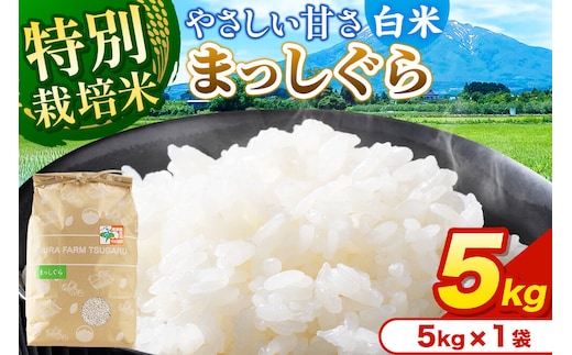 米【特別栽培米】まっしぐら 白米 5kg（5kg×1袋）令和7年産 青森県弘前市産 [米 まっしぐら 特別栽培米 白米 精米 ブランド米 青森県 弘前市産]