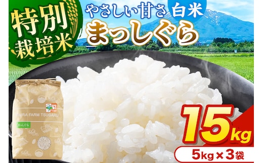 米【特別栽培米】まっしぐら 白米 15kg（5kg×3袋）令和7年産 青森県弘前市産 [15キロ 5キロ 小分け まっしぐら 特別栽培米 白米 精米 ブランド米 青森県 弘前市産]
