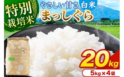 米【特別栽培米】まっしぐら 白米 20kg（5kg×4袋）令和7年産 青森県弘前市産 [20キロ 5キロ 小分け まっしぐら 特別栽培米 白米 精米 ブランド米 青森県 弘前市産]