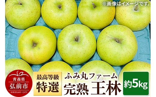 【25年12月発送】りんご ふみ丸ファーム 最高等級「特選」完熟 王林 約5kg