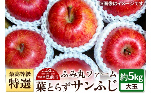 【25年12月発送】りんご 最高等級「特選」大玉 葉とらず サンふじ 約5kg 糖度14度以上