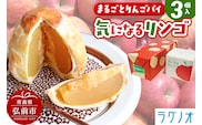アップルパイ 気になるリンゴ 3個入 ラグノオささき