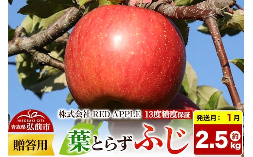 【27年1月発送】りんご 13度糖度保証【贈答用】葉とらずふじ 約2.5kg 先行受付 [アップル おいしい お歳暮 お中元 ギフト ふじ プレゼント りんご 果実 果物 赤色 贈り物 贈答用 糖度 美味 葉っぱ 葉とらず 林檎]