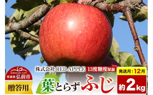 【26年12月発送】りんご 葉とらずふじ【贈答用】約2kg 13度糖度保証 先行受付 [りんご 葉とらず ふじ 贈り物 贈答用 お歳暮 お中元 ギフト プレゼント 糖度 果実 果物 赤 林檎 アップル 美味 おいしい 青森県 弘前市 REDAPPLE]