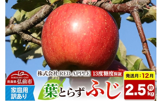 【26年12月発送】りんご 葉とらずふじ【訳あり】家庭用 約2.5kg 13度糖度保証 先行受付 [りんご 葉とらず ふじ 訳あり 家庭用 糖度 果実 果物 赤 林檎 アップル 美味 おいしい 青森県 弘前市 REDAPPLE]