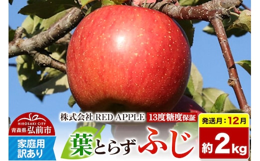 【26年12月発送】りんご 葉とらずふじ【訳あり】家庭用 約2kg 13度糖度保証 先行受付 [りんご 葉とらず ふじ 訳あり 家庭用 糖度 果実 果物 赤 林檎 アップル 美味 おいしい 青森県 弘前市 REDAPPLE]